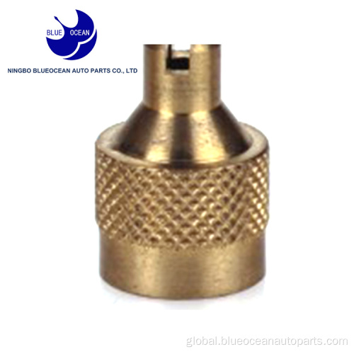 Large Bore Tire Valve Cap large bore sealing tire valve cap with screwdriver Supplier